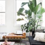 best indoor plants for apartments best indoor plants decor for air purify apartment and home 13 HMGIDBV