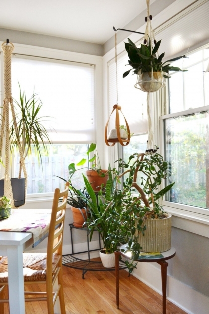 best indoor plants for apartments best indoor plants low light tags foot bird of paradise indoor indoor AKVIOPM