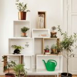 Indoor plants decoration 3. house plants home ideas (4) MTSMUNY