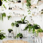 Indoor plants decoration 99 houseplants display ideas RWLYIBD