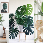 Indoor plants decoration a list of the best indoor plants for fabulous home decor VLHARBJ