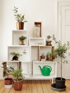 indoor plants ideas 3. house plants home ideas (4) XOABKHF