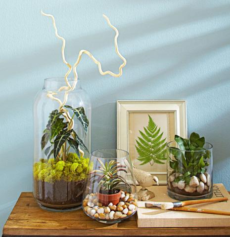 indoor plants ideas 4 ideas for stylish indoor plant displays | midwest living RNPPPRD