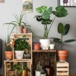 indoor plants ideas 64+indoor plant ideas to beauty your small home NHAZAQG