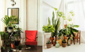 indoor plants ideas 7 different way to indoor plants decoration ideas in living room MAUNDDK