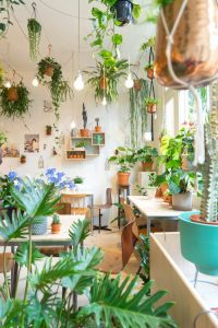 indoor plants ideas 99 great ideas to display houseplants | indoor plants decoration | page MLUKTEA