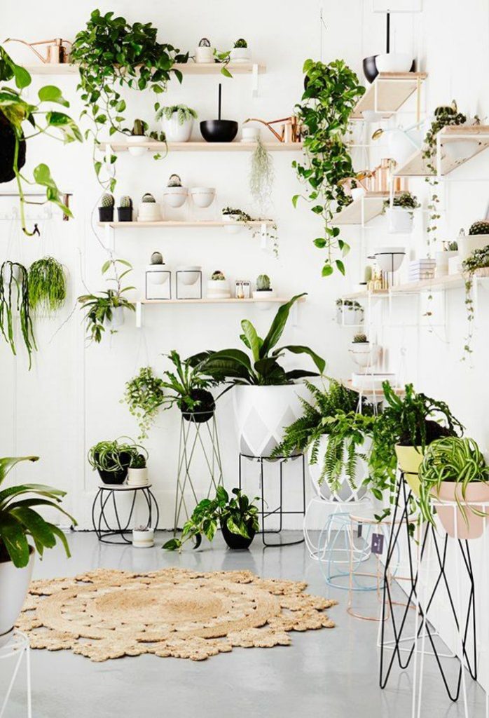 indoor plants ideas 99 houseplants display ideas ICASXKP