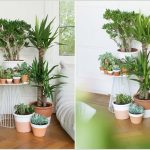 indoor plants ideas ad-amazing-ideas-for-indoor-plants-02 RIHOFHO