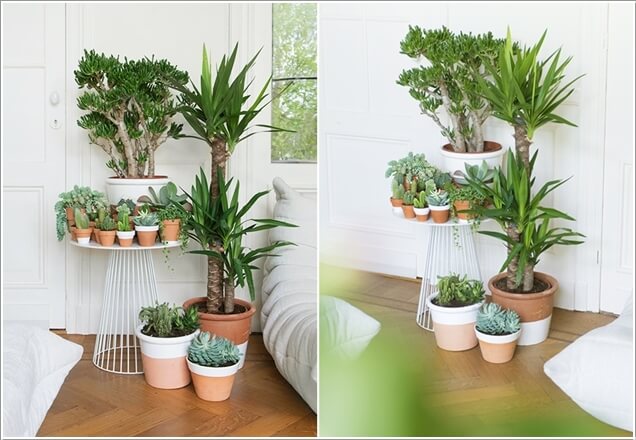 indoor plants ideas ad-amazing-ideas-for-indoor-plants-02 RIHOFHO
