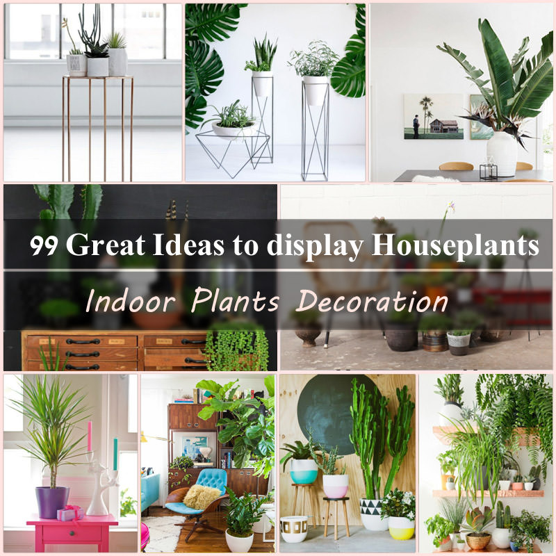 indoor plants ideas indoor plants decoration makes your living space more comfortable,  breathable, and LVQSYOA