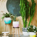 indoor plants ideas the more beautiful the pots, the more beautiful your plants look as LUWHATZ
