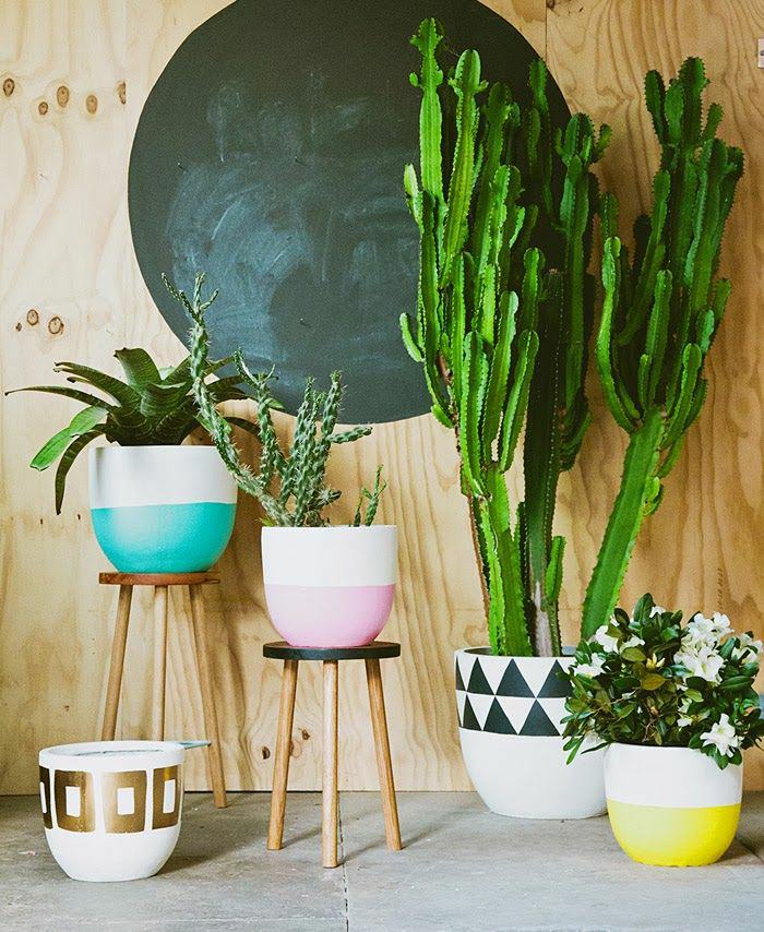 indoor plants ideas the more beautiful the pots, the more beautiful your plants look as LUWHATZ
