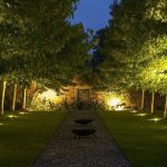 Garden Lights by aimee bradshaw may 24, 2018. garden lighting ... LDCYNQD