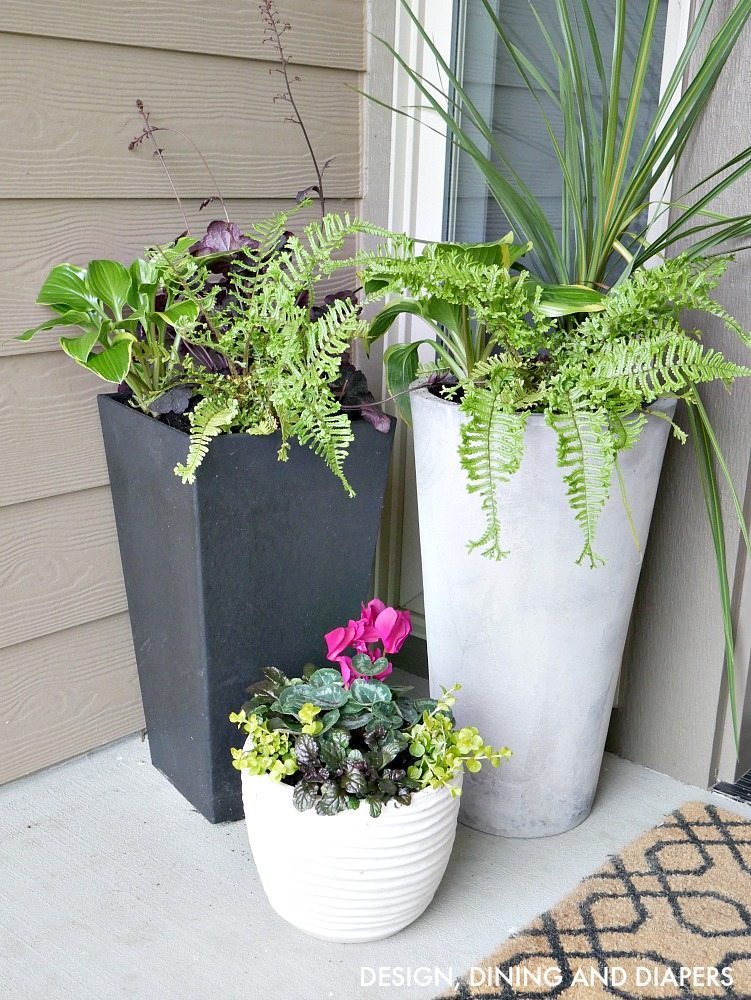 modern planters ideas modern contemporary planters for front porch with tropical flowers ABLNEVA
