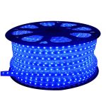 Outdoor LED Rope Lights | Commercial LED Outdoor Lighting | Outside