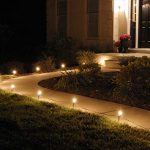 Amazon.com : Lumabase 61010 10 Count Electric Pathway Lights, Clear