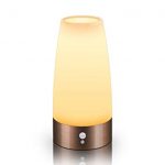 Amazon.com: Motion Sensor Night Light, Battery Operated Lamp