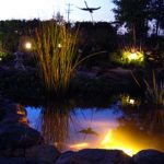 How To Design LED Landscape & Pond Lighting Systems - The Pond Experts