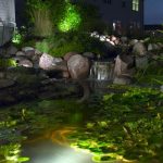 Pond Lighting, Garden Lighting Create Magic at Night | Ponds and