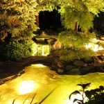 LED Lighting, Why add Pond LED Lights to my pond or water feature