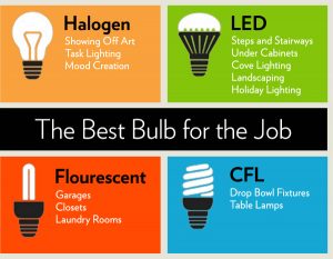 Best Light Bulbs | Different Types of Light Bulbs | HouseLogic