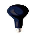Bulbrite 75R25BL 75W Black Light Reflector Bulb - - Amazon.com