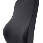 Tektrum Orthopedic Back Support Lumbar Cushion for Home/Office Chair, Car  Seat - Ergonomic