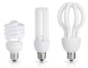 Recycling Compact Fluorescent Lamp Bulbs in Kirkland