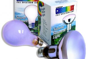 Full Spectrum Light Bulb 60 Watt