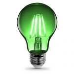 Color Filament LED Green A19 Light Bulb | AQLighting