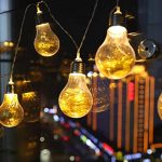 Amazon.com : Bulb String Lights, 20 LEDs Clear Bulb Lights Battery
