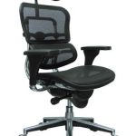 Ergohuman High Back Swivel Ergonomic Office Chair with Headrest