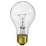 40 Watt Light Bulb - Clear - 20,000 Hours | 1000Bulbs.com