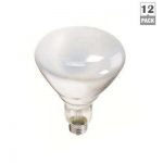 Incandescent Light Bulbs - Light Bulbs - The Home Depot