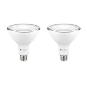 Flood and Spot - LED Bulbs - Light Bulbs - The Home Depot