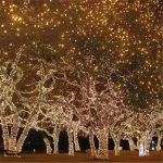 10 Meter Led Fairy Lights Christmas Outdoor Waterproof Copper Wire