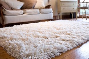 Modern shag area carpet that make the place look beautiful with easy  maintenance