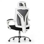 Hbada Ergonomic Office Chair - Modern High-Back Desk Chair - Reclining  Computer Chair with