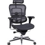 Eurotech ME7ERG Ergohuman Mesh Ergonomic Chair w/ Headrest