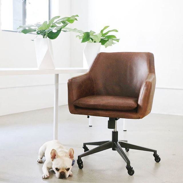 Best 25 Office Chairs Ideas On Pinterest Desk Chair Desk Home Office