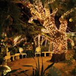 Why You Need Outdoor Lighting for Your Next Summer Celebration