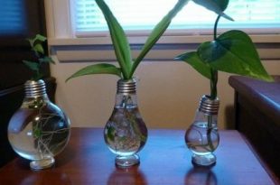 Plant Light Bulb 75 Best Light Bulb Ideas Images On Pinterest Light