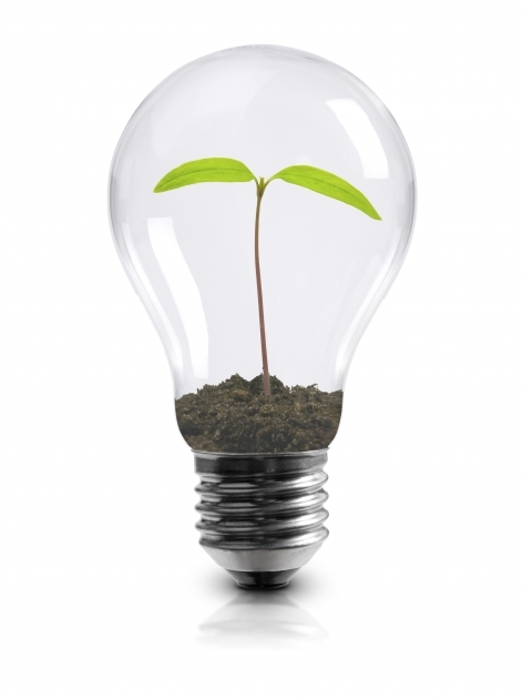Best Plant Light Bulbs Designs Plant Light Bulbs Ideas Lighting Cfl