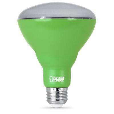 Feit Electric - Light Bulbs - Lighting - The Home Depot