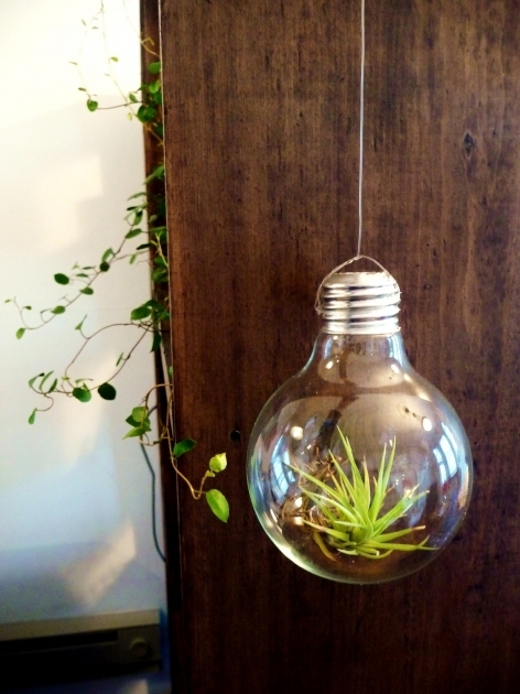 Gorgeous Stylish Plant Light Bulbs Plant Light Bulbs Ideas Lighting