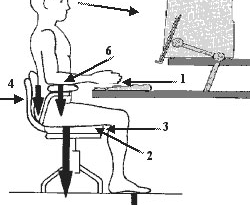 Once the workstation has been situated, then the user can adjust the office  chair according to his or her physical proportions. Here are the most  important
