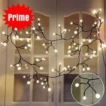 Amazon.com : YMING Globe String Lights, 8.3Ft 8 Modes 72 Led