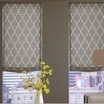 Modern Window Treatments- 3 Day Blinds- Living Room modern-living-room