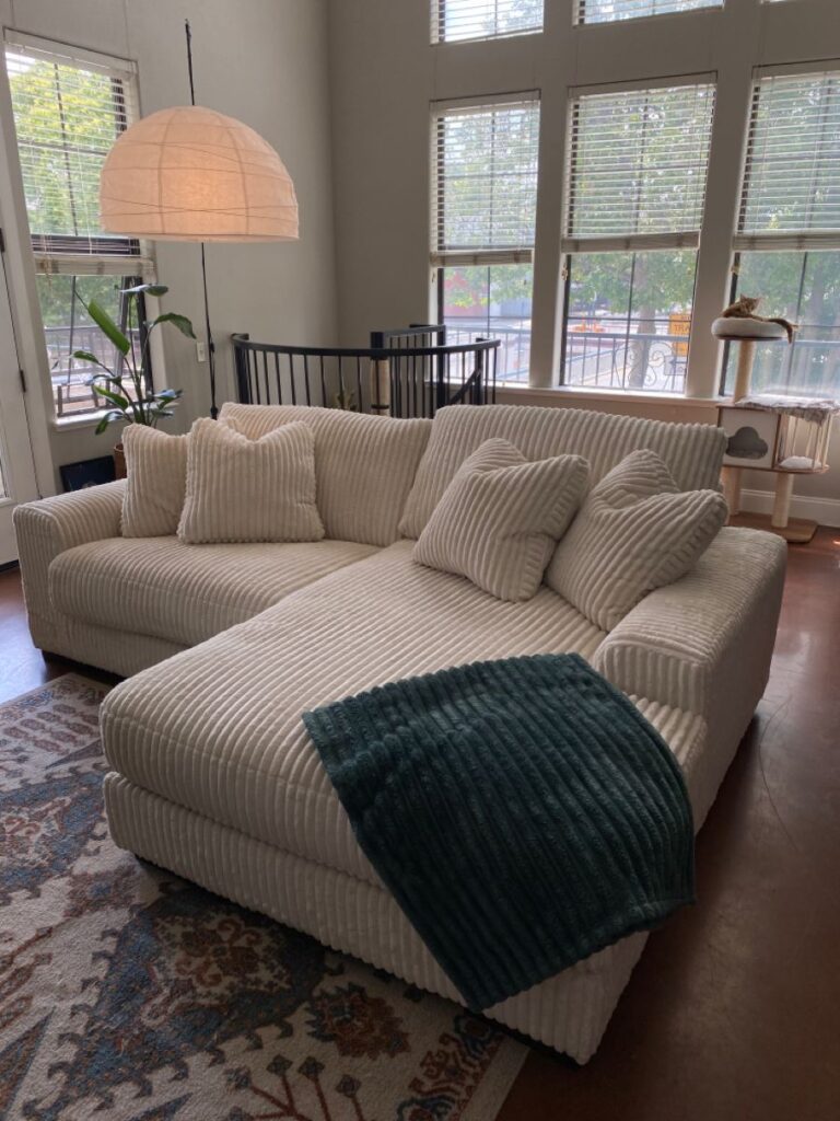 1698443831_Comfy-Couch.jpg