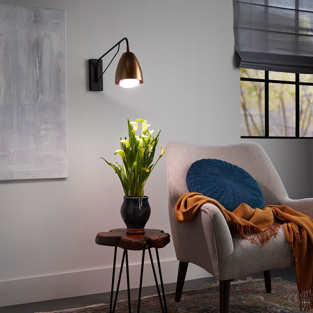 1698448605_Plant-Light-Bulbs-Ideas.jpg